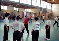 Kung Fu team in France